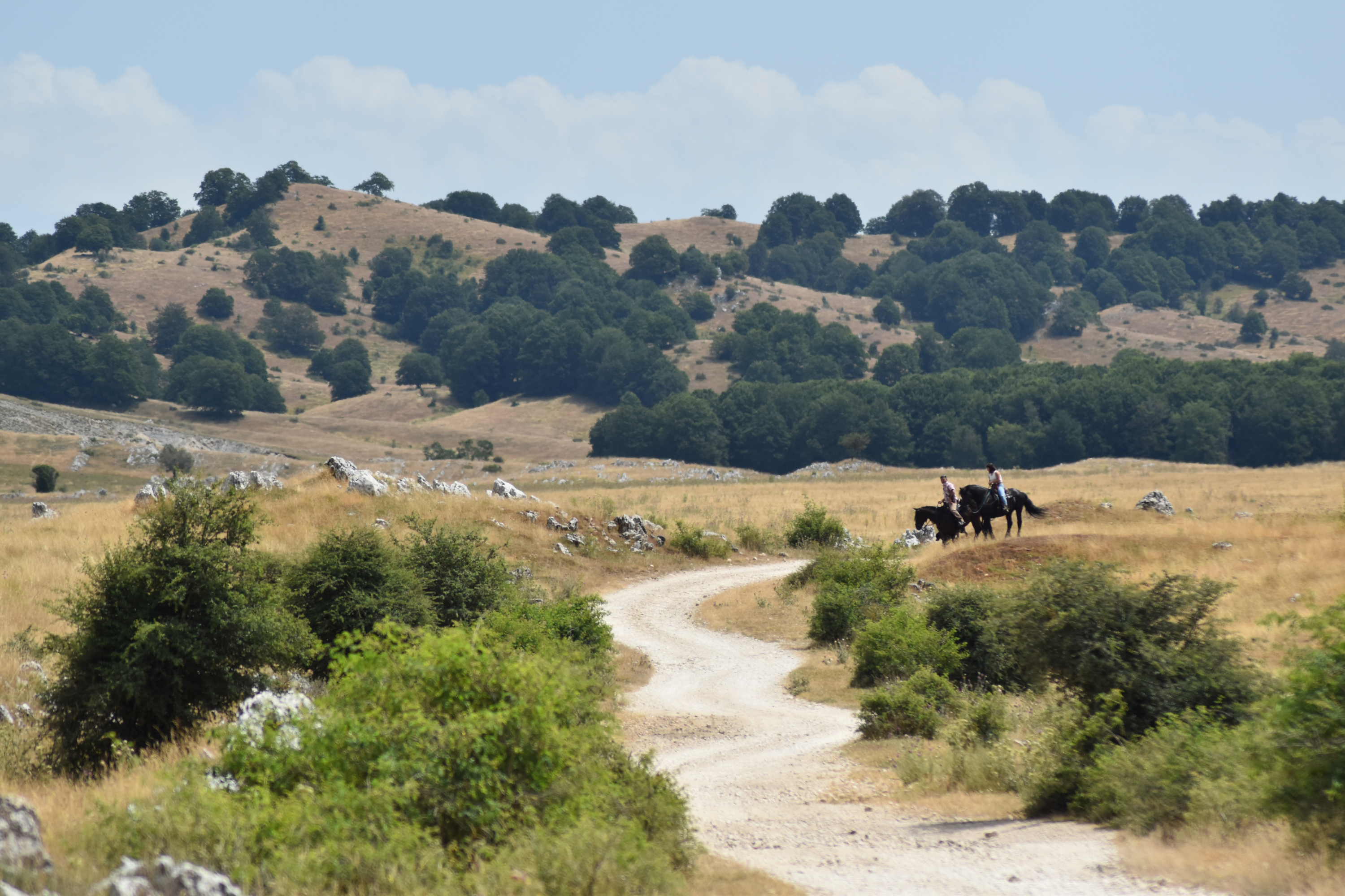 Persone a cavallo che scendono verso la strada di Camposecco.