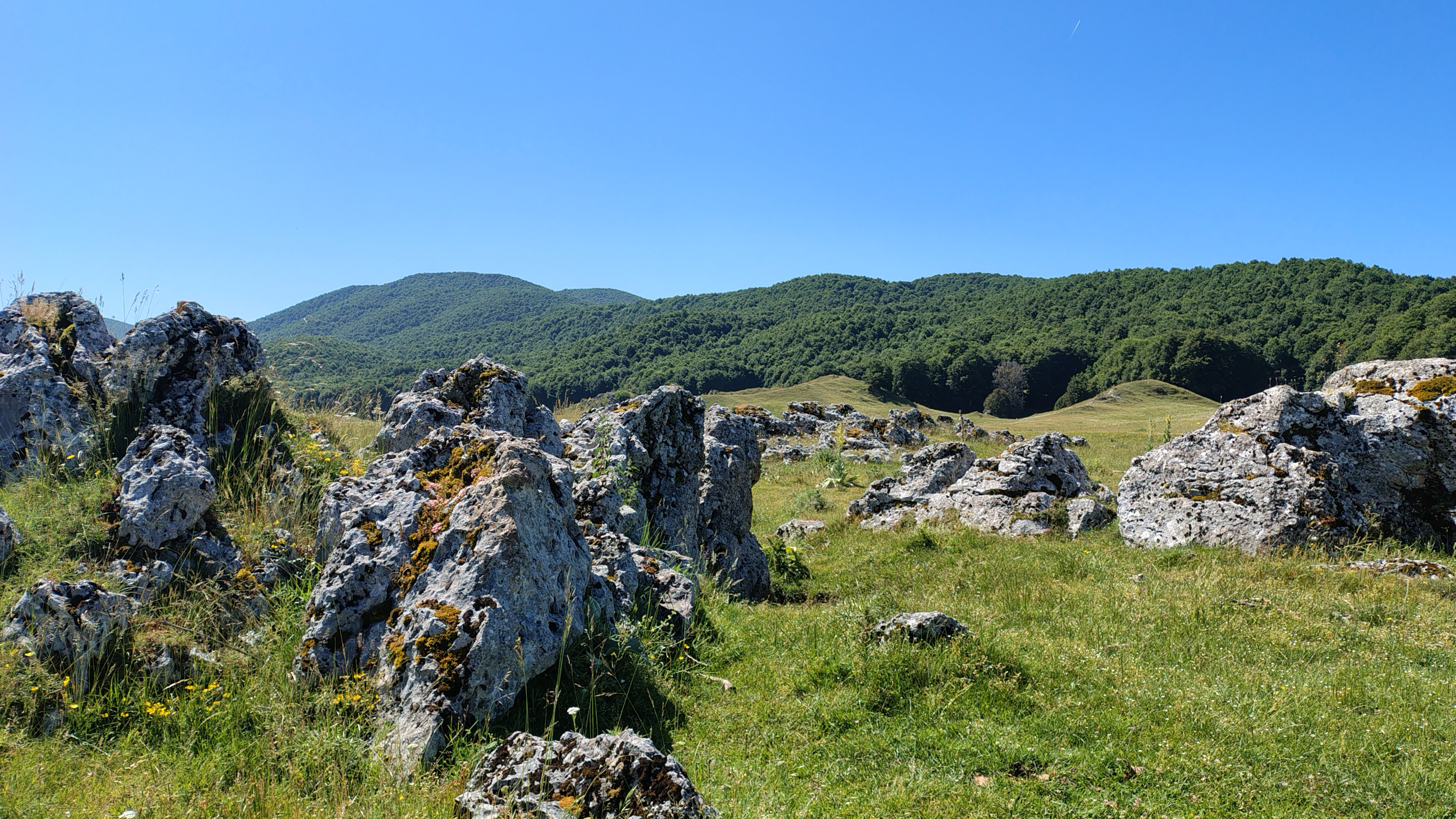 Vista di rocce, erba e faggi.